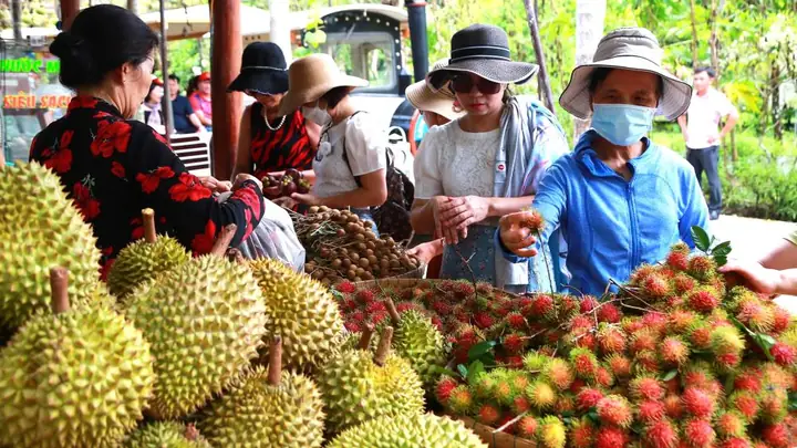 Vườn Chôm Chôm Ở Cần Thơ