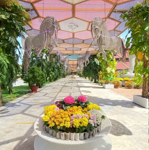 Vườn Hoa Trường Sơn Nha Trang Vườn Hoa Trường Sơn Nha Trang