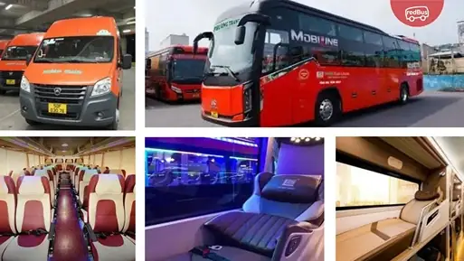 Xe Phương Trang Về Bình Định Xe Phương Trang Về Bình Định