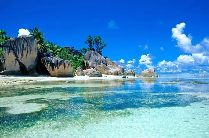 Bãi Biển Quỳnh Lưu Nghệ An Bãi Biển Quỳnh Lưu Nghệ An