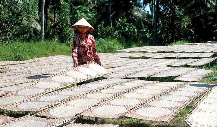 Bánh Tráng Mỹ Lòng Bánh Phồng Sơn Đốc Ở Đâu Bánh Tráng Mỹ Lòng Bánh Phồng Sơn Đốc Ở Đâu