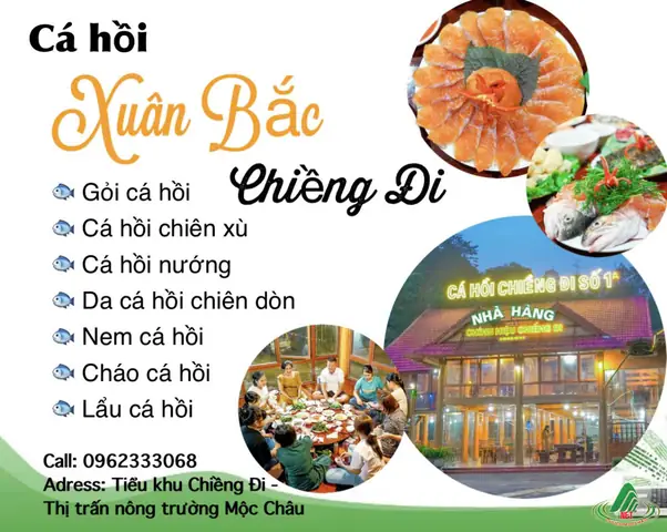 Cá Hồi Xuân Bắc Mộc Châu Cá Hồi Xuân Bắc Mộc Châu