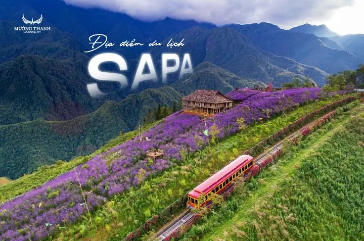 Các Địa Điểm Du Lịch Ở Sa Pa
