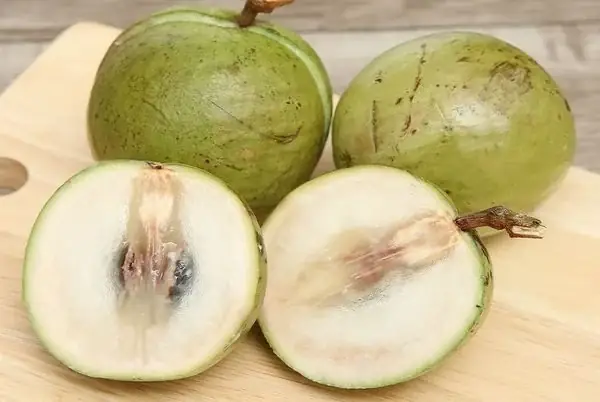 Cách Nhận Biết Vú Sữa Chín