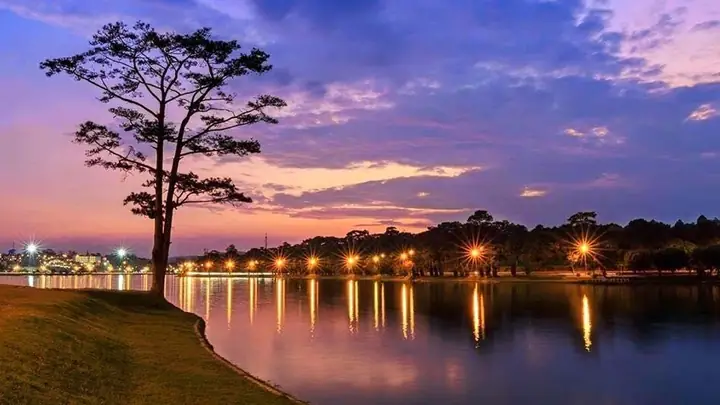 Cảnh Đẹp Đà Lạt Về Đêm