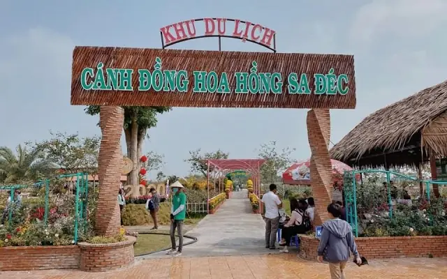 Cánh Đồng Hoa Hồng Sa Đéc Cánh Đồng Hoa Hồng Sa Đéc
