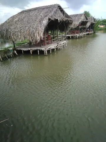 Câu Cá Giải Trí Bình Chánh