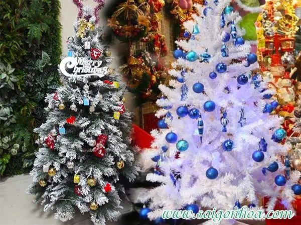 Cây Thông Noel Hồ Chí Minh