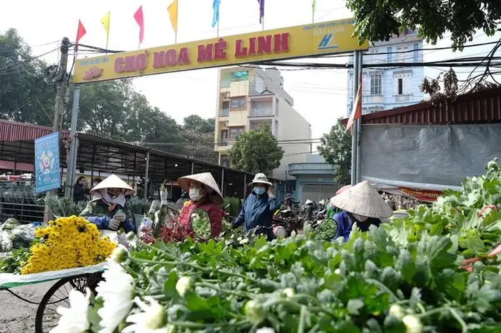 Chợ Hoa Mê Linh Họp Mấy Giờ Chợ Hoa Mê Linh Họp Mấy Giờ