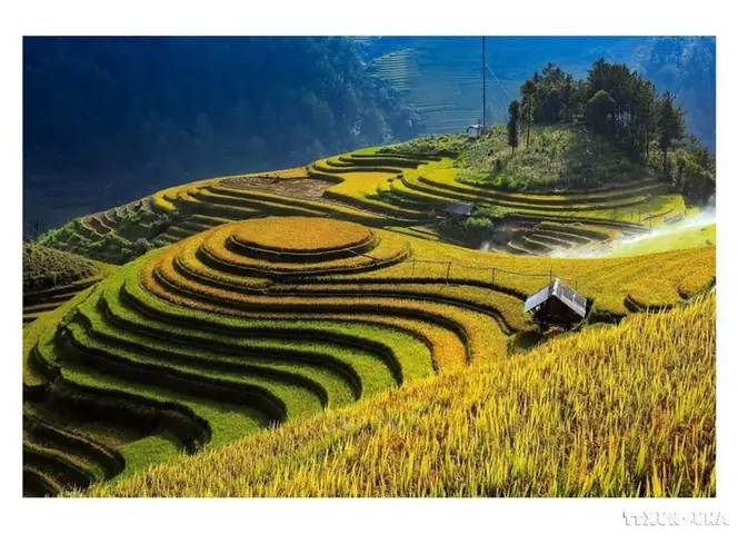 Đặc Điểm Của Ruộng Bậc Thang