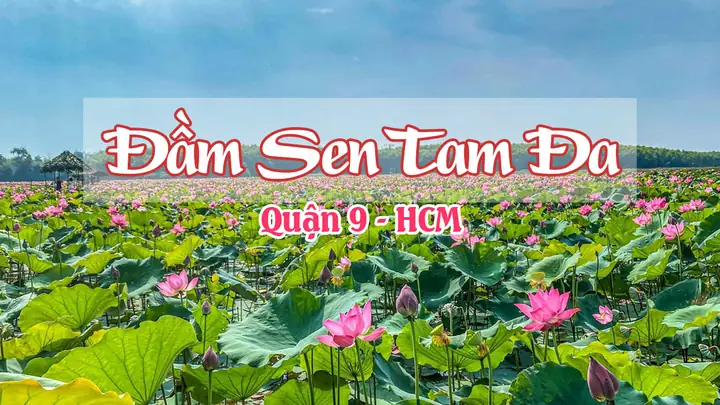 Đầm Sen Tam Đa Quận 9