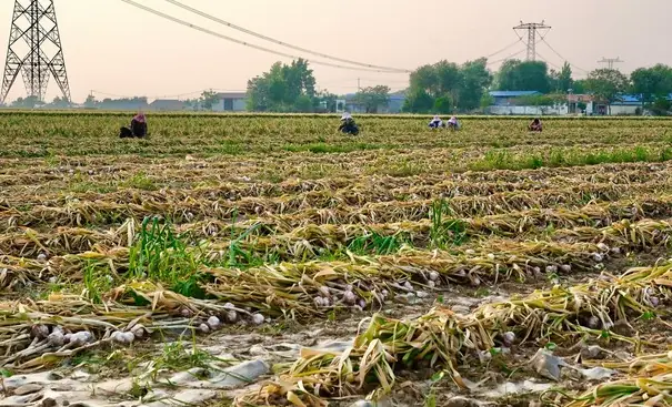 Diện Tích Trung Quốc Đứng Sau Quốc Gia Nào