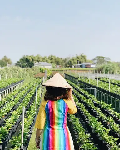 Đường Đi Làng Hoa Sa Đéc Đường Đi Làng Hoa Sa Đéc