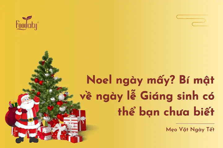 Hôm Nay Có Phải Noel Không Hôm Nay Có Phải Noel Không
