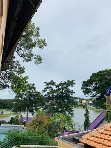 Khách Sạn Đường Lê Thị Hồng Gấm Đà Lạt Khách Sạn Đường Lê Thị Hồng Gấm Đà Lạt