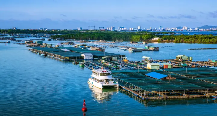Làng Bè Long Sơn Vũng Tàu