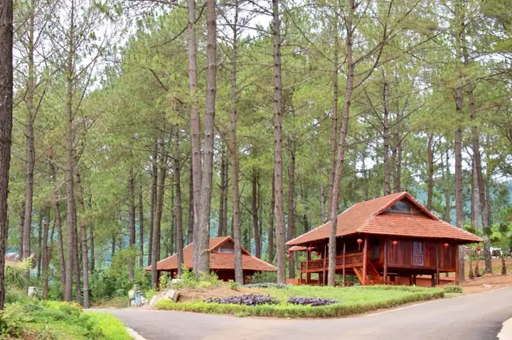 Nhà Sàn Bản Áng Mộc Châu Nhà Sàn Bản Áng Mộc Châu
