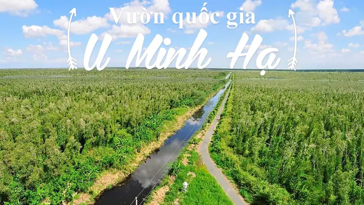 Rừng U Minh Hạ Ở Đâu Rừng U Minh Hạ Ở Đâu