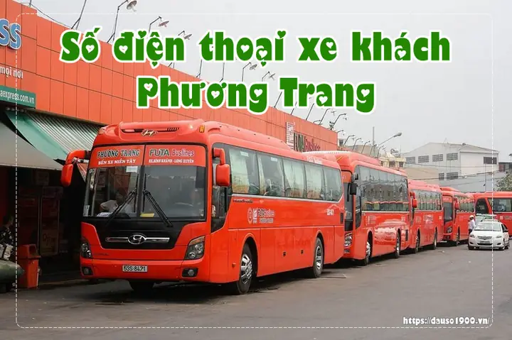 Số Điện Thoại Xe Phương Trang Bảo Lộc Số Điện Thoại Xe Phương Trang Bảo Lộc