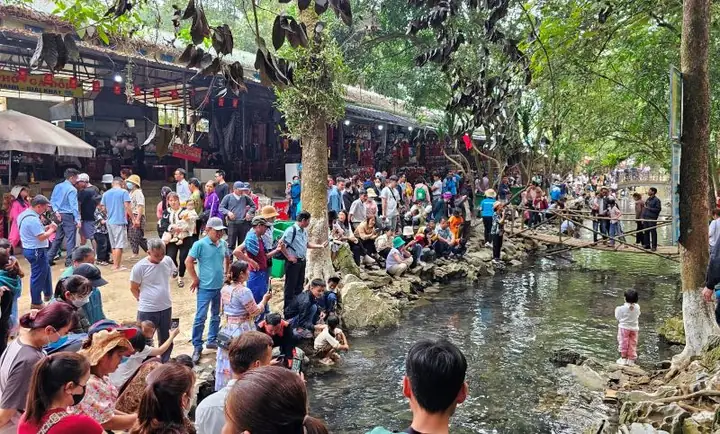 Suối Cá Thần Cẩm Lương Ở Đâu Suối Cá Thần Cẩm Lương Ở Đâu