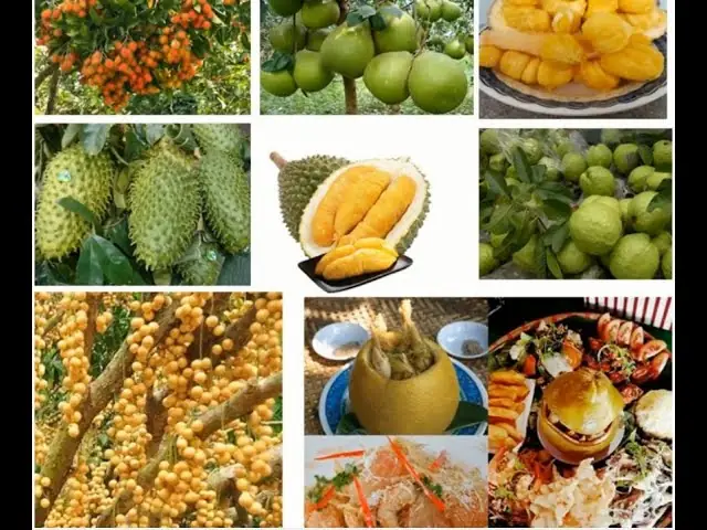 Trái Cây Đặc Sản Đồng Nai