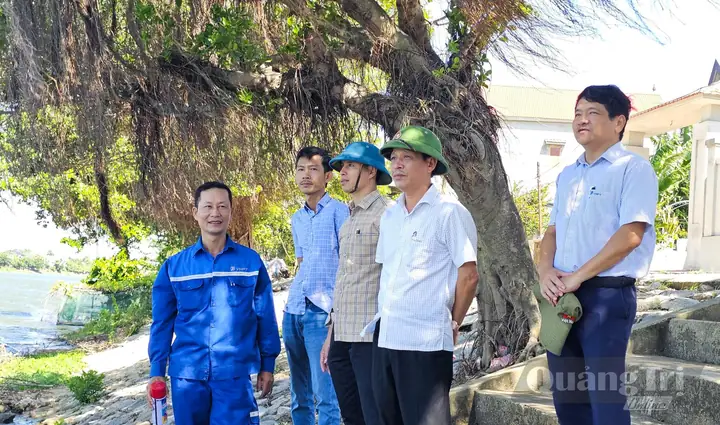 Trực Tiếp Đua Thuyền Lệ Thủy Trực Tiếp Đua Thuyền Lệ Thủy