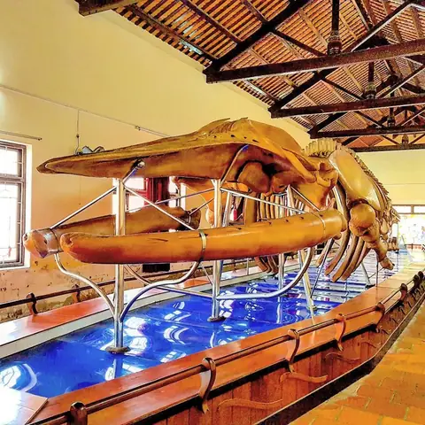 Trung Tâm Phan Thiết Có Gì Chơi Trung Tâm Phan Thiết Có Gì Chơi