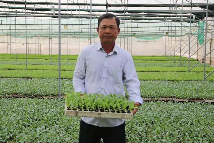 Vườn Ươm Cây Giống Út Chen Vườn Ươm Cây Giống Út Chen